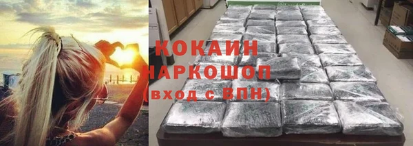 дмт Абаза