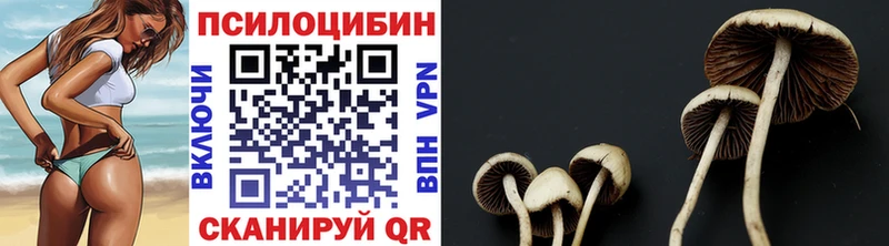 площадка Telegram  hydra зеркало  Алупка  купить наркотики цена  Галлюциногенные грибы Magic Shrooms 